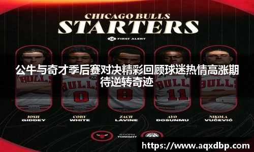 公牛与奇才季后赛对决精彩回顾球迷热情高涨期待逆转奇迹